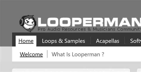 loopman|looperman type website.